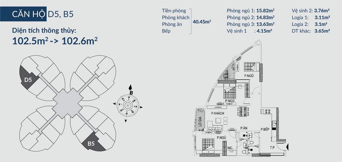 Mặt bằng Chung cư The Queen Palace dự án Imperial Plaza 360 Giải Phóng